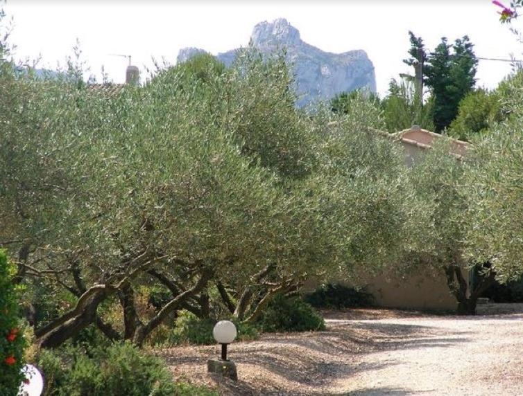 Un Gite En Provence - Les Jardins De Fontanille แซ็งต์-เรมีย์-เดอ-โพรวองซ์ ภายนอก รูปภาพ