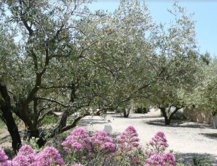 Un Gite En Provence - Les Jardins De Fontanille แซ็งต์-เรมีย์-เดอ-โพรวองซ์ ภายนอก รูปภาพ